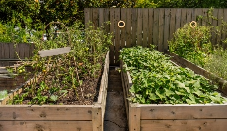 Garden Timbers Home Page Category Link